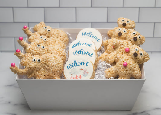Welcome Baby Gift Basket by Creative Crispies Co.