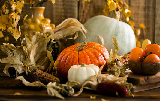 How to Show Gratitude this Thanksgiving